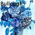 Nancy Tydings Bullough - Floral in Blue - Paintings