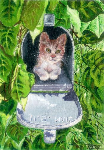 Mailbox Kitty