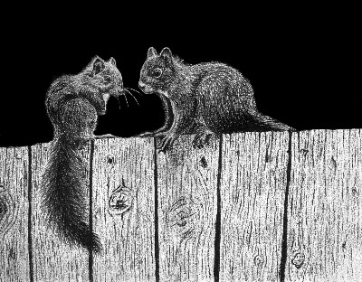 On The Fence